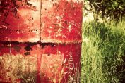 The Sustainable Luxury Era: Why ‘Green’ is the Ultimate Status Symbol in 2026
