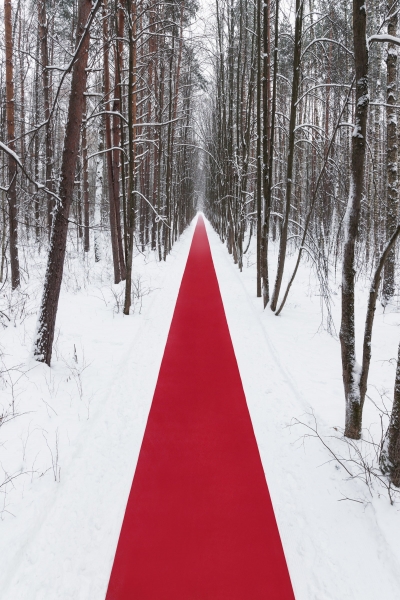 В парке Малевича открылся ленд-арт-проект “Белый лес”